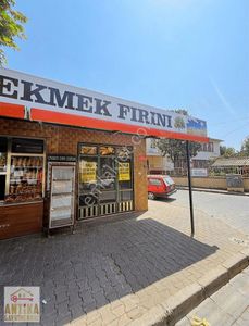 İşyeri-Dükkan & Mağaza