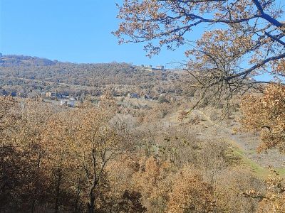 Arsa-Bağ & Bahçe