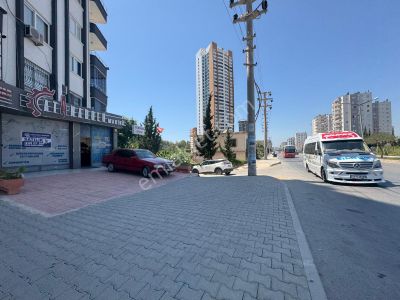 İşyeri-Dükkan & Mağaza