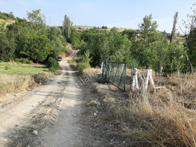 Arsa-Bağ & Bahçe