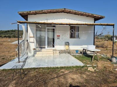 Konut-Dağ Evi