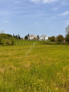Arsa-Konut İmarlı