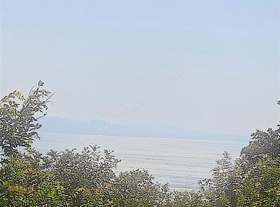 Arsa-Bağ & Bahçe