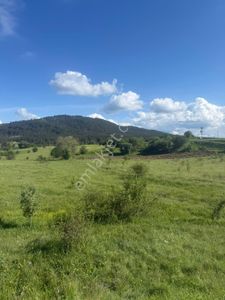 Arsa-Tarla