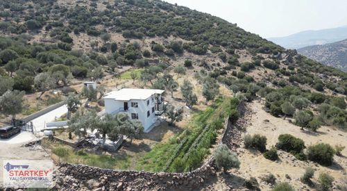 Arsa-Tarla