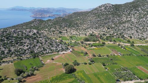 Arsa-Tarla