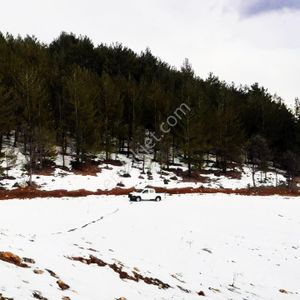 Arsa-Konut İmarlı