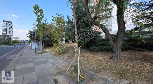 İşyeri-Dükkan & Mağaza