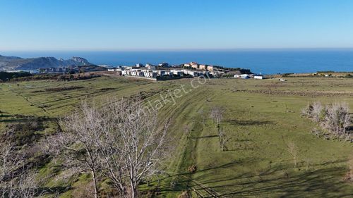 Arsa-Villa İmarlı