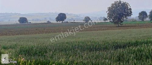 Arsa-Tarla