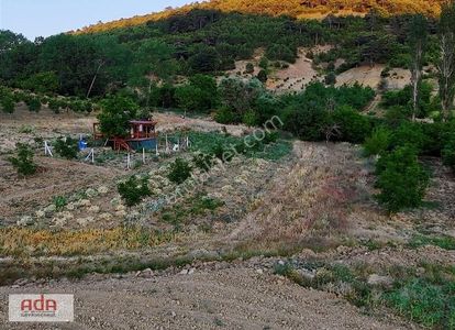 Arsa-Bağ & Bahçe
