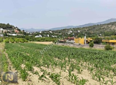 Arsa-Tarla