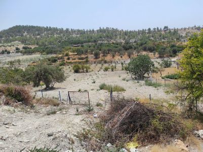 Arsa-Tarla