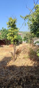 Arsa-Konut İmarlı