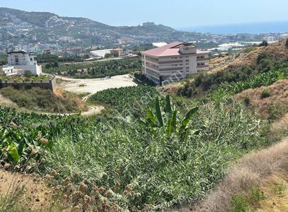 Arsa-Villa İmarlı