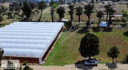 Arsa-Konut İmarlı