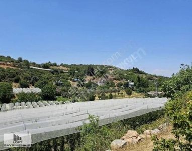 Arsa-Konut İmarlı