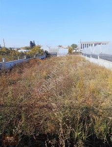 Arsa-Konut İmarlı