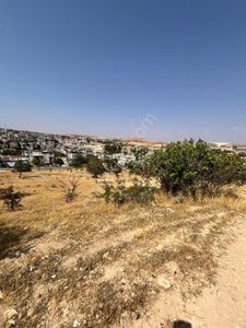 Arsa-Bağ & Bahçe