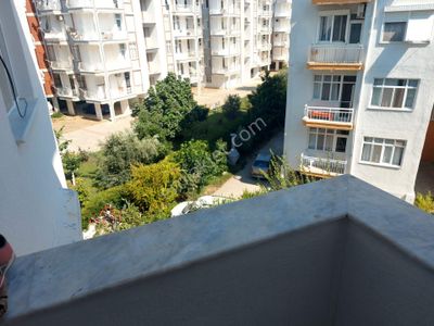 Konut-Yazlık
