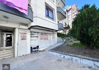 İşyeri-Dükkan & Mağaza