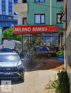 İşyeri-Dükkan & Mağaza