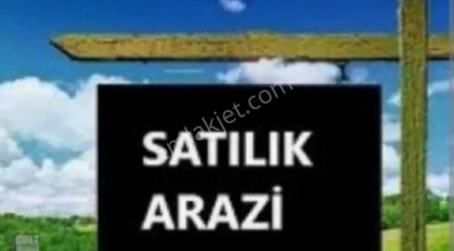 Arsa-Bağ & Bahçe