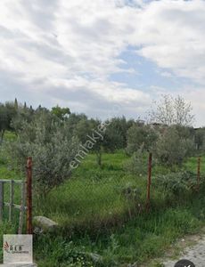 Arsa-Villa İmarlı