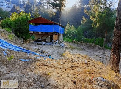 Konut-Yazlık