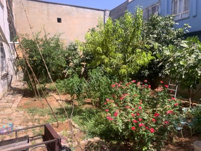 Arsa-Özel Kullanım