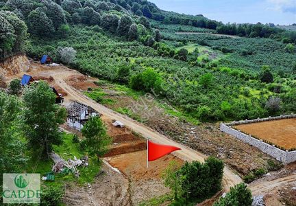 Arsa-Konut İmarlı