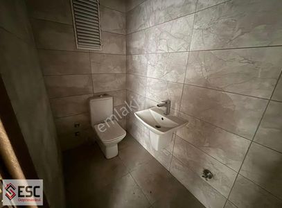 İşyeri-Dükkan & Mağaza