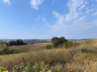 Arsa-Tarla