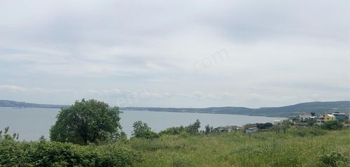Arsa-Arazi