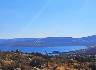 Arsa-Villa İmarlı