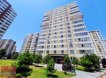 İşyeri-Ofis