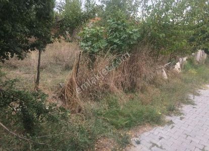 Arsa-Konut İmarlı