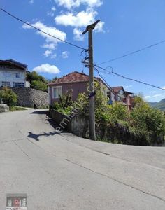 Arsa-Bağ & Bahçe