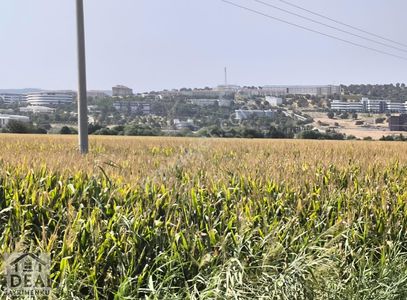 Arsa-Tarla