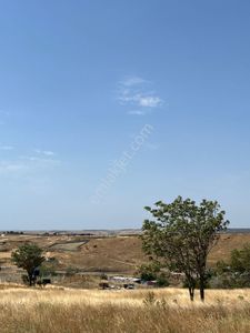 Arsa-Tarla