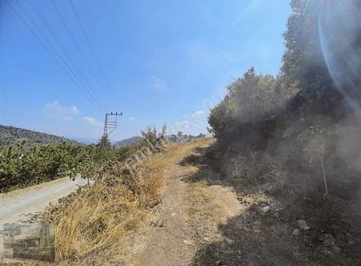 Arsa-Konut İmarlı