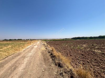 Arsa-Tarla