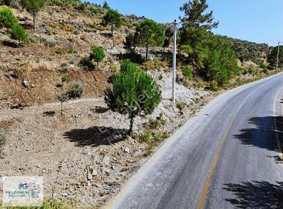 Milas'ta %40 İskonto! 2.85 Milyonluk Arazi, Şimdi 1.75 Milyon Tl