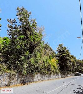 Arsa-Konut İmarlı