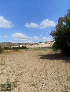 Arsa-Tarla