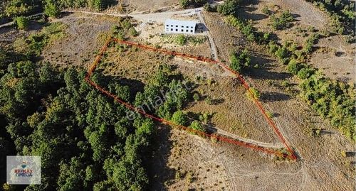 Arsa-Tarla