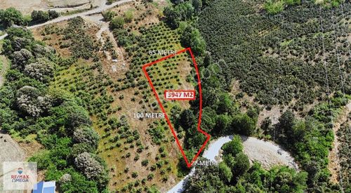 Arsa-Konut İmarlı