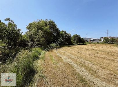 Arsa-Tarla
