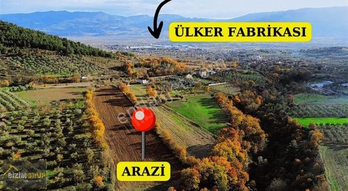 Arsa-Tarla