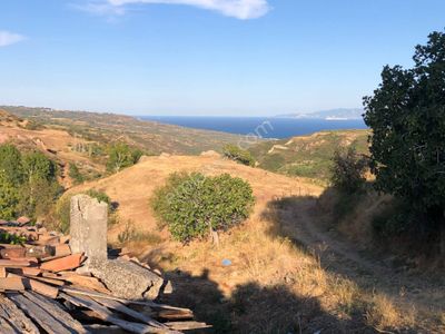Arsa-Muhtelif Arsa